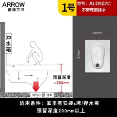 箭牌蹲便器蹲坑式陶瓷便池蹲厕所卫生间家用大便器单蹲便器ALD507