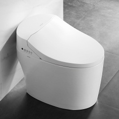 箭牌智能马桶 家用一体式厕所智能坐便器自动冲洗妇洗烘干AKB1312