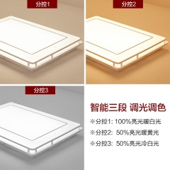 欧普照明LED吸顶灯长方形客厅灯大气现代简约官方旗舰店灯具套餐