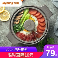 九阳（Joyoung）砂锅炖锅煲汤煲仔饭家用陶瓷锅煤气灶燃气专用耐高温沙锅小号 1.6L