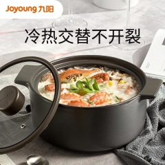 九阳（Joyoung）砂锅炖锅煲汤煲仔饭家用陶瓷锅煤气灶燃气专用耐高温沙锅小号 1.6L