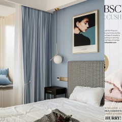 雾霾蓝天鹅绒纯色现代港式轻奢半遮光丝绒窗帘绒布荷兰绒客厅卧室