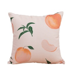 清新田园北欧风格网红水果装饰抱枕沙发靠枕床头靠垫坐垫柠檬桃