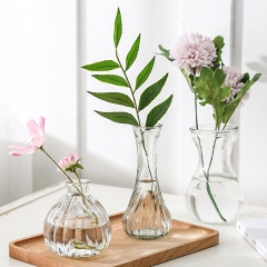 透明玻璃瓶水培植物容器绿萝养花小花瓶干花插花客厅摆件装饰花盆
