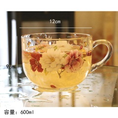 韩国进口大容量带盖玻璃凉水杯无铅加厚花茶杯早餐杯耐高温大奶杯