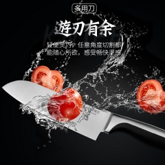 爱仕达（ASD）刀具套装 锋掣系列不锈钢菜刀西瓜刀水果刀 斩切刀家用双刀 RDG02C1WG