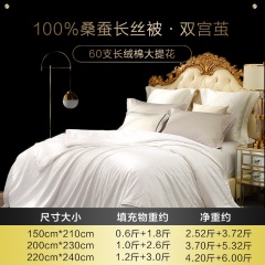 博洋蚕丝被100%桑蚕丝子母被二合一被子夏凉被空调被春秋被冬被芯
