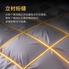 博洋家纺羽绒被95白鹅绒冬被保暖加厚防钻绒被芯生命磁冬天被子