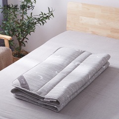 博洋大学宿舍床垫软垫0.9m学生抑菌床垫加厚儿童单人地铺睡垫褥子