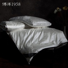 博洋家纺蚕丝被100%桑蚕丝单人春秋被芯长丝绵双人蚕丝被冬被加厚