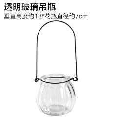 6创意悬挂透明玻璃花瓶小吊瓶水培花器室内园艺家居装饰瓶植物摆件