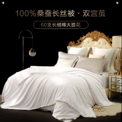 博洋蚕丝被100%桑蚕丝夏被夏凉被空调被春秋被子被芯丝绵被双宫茧