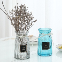 6透明玻璃花瓶干花插花水培玻璃瓶客厅创意小清新摆件插花装饰花盆