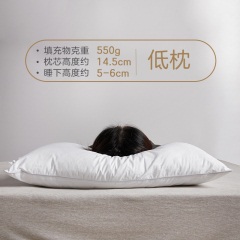博洋家纺枕头可水洗全棉单人双人护颈枕成人抑菌防螨枕芯一对家用