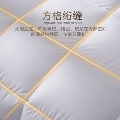 博洋家纺进口羽绒被冬被加厚鹅绒被单双人白鹅绒被芯保暖冬天被子