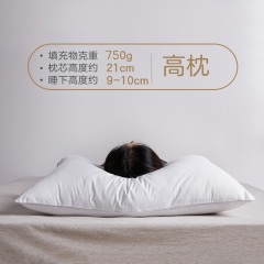 博洋家纺枕头可水洗全棉单人双人护颈枕成人抑菌防螨枕芯一对家用